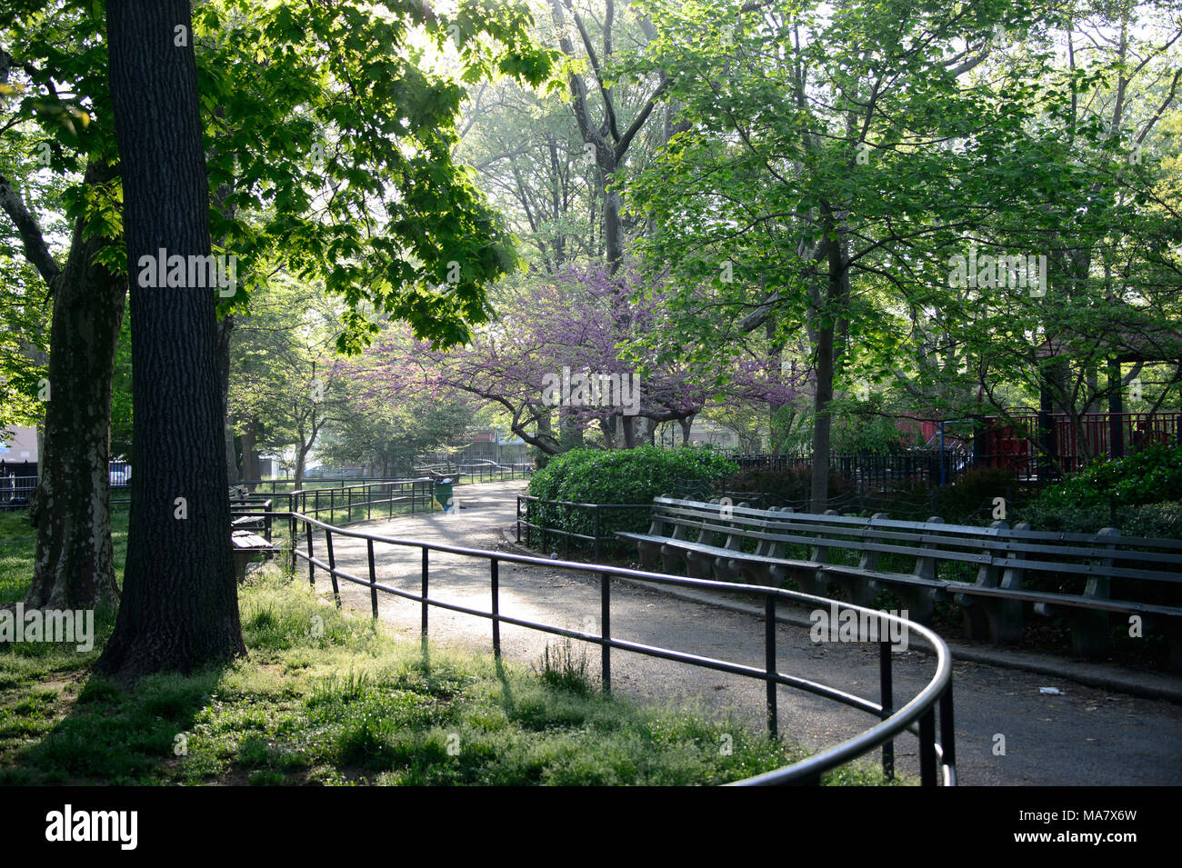 Une ligne de bancs sous un chemin de l'arbre en fleurs - lishui à Monseigneur McGolrick Park à Brooklyn, New York, en mai 2017 Banque D'Images