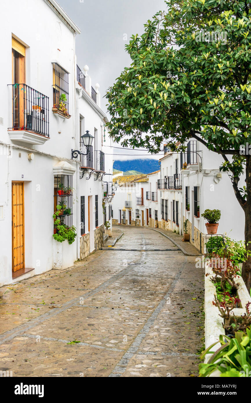 Rue Pavée avec des maisons blanches dans la ville espagnole de Zahara de la Sierra en Andalousie, Espagne Banque D'Images