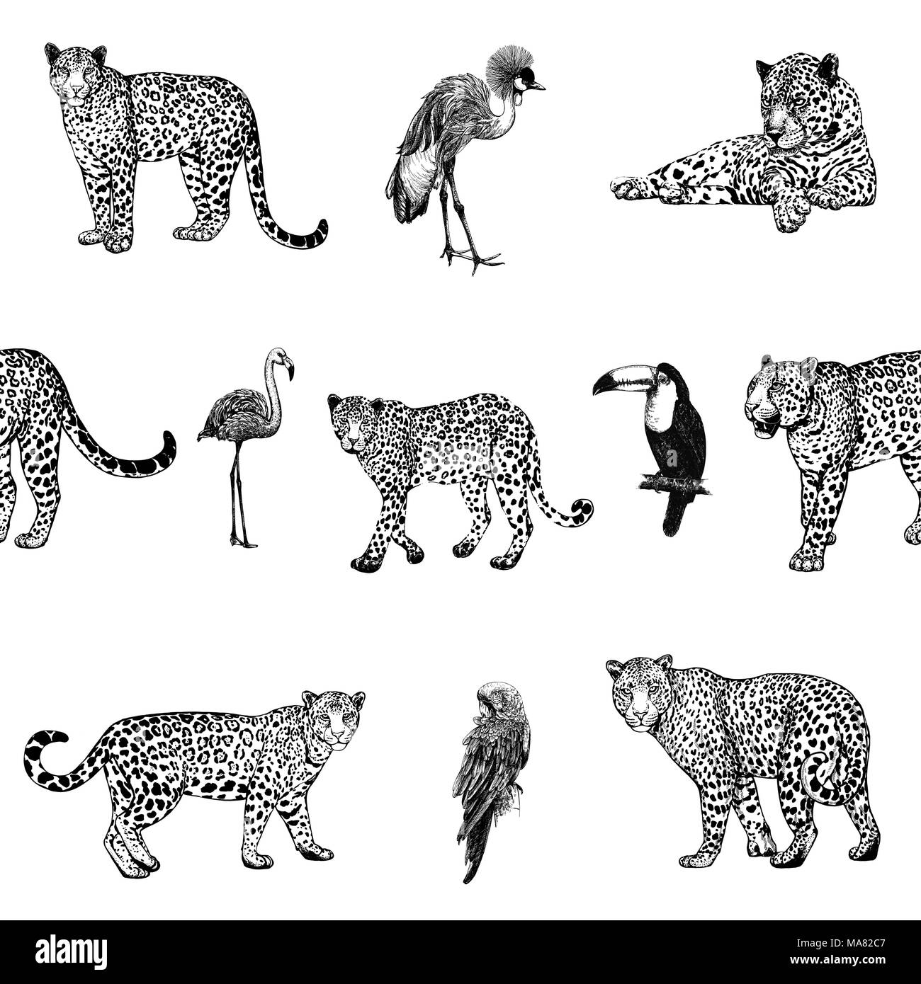 Motif de la main transparente style croquis des léopards et des oiseaux exotiques isolé sur fond blanc. Vector illustration. Illustration de Vecteur