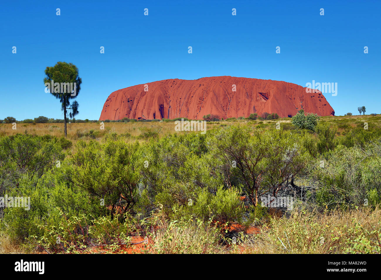 Uluru, Ayers Rock, Parc National d'Uluru-Kata Tjuta, Territoire du Nord, Australie Banque D'Images