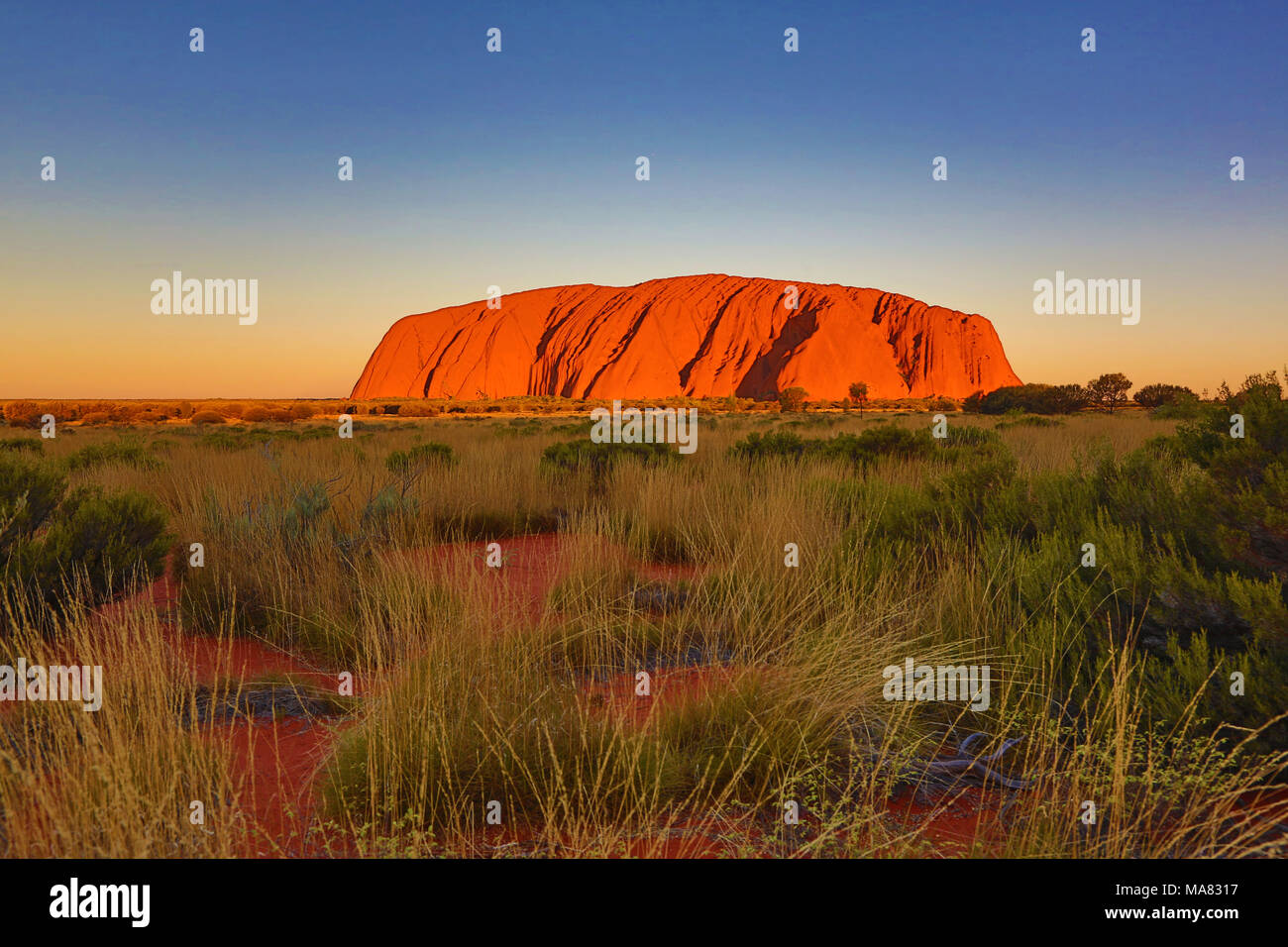 Coucher du soleil sur Uluru, Ayers Rock, Parc National d'Uluru-Kata Tjuta, Territoire du Nord, Australie Banque D'Images
