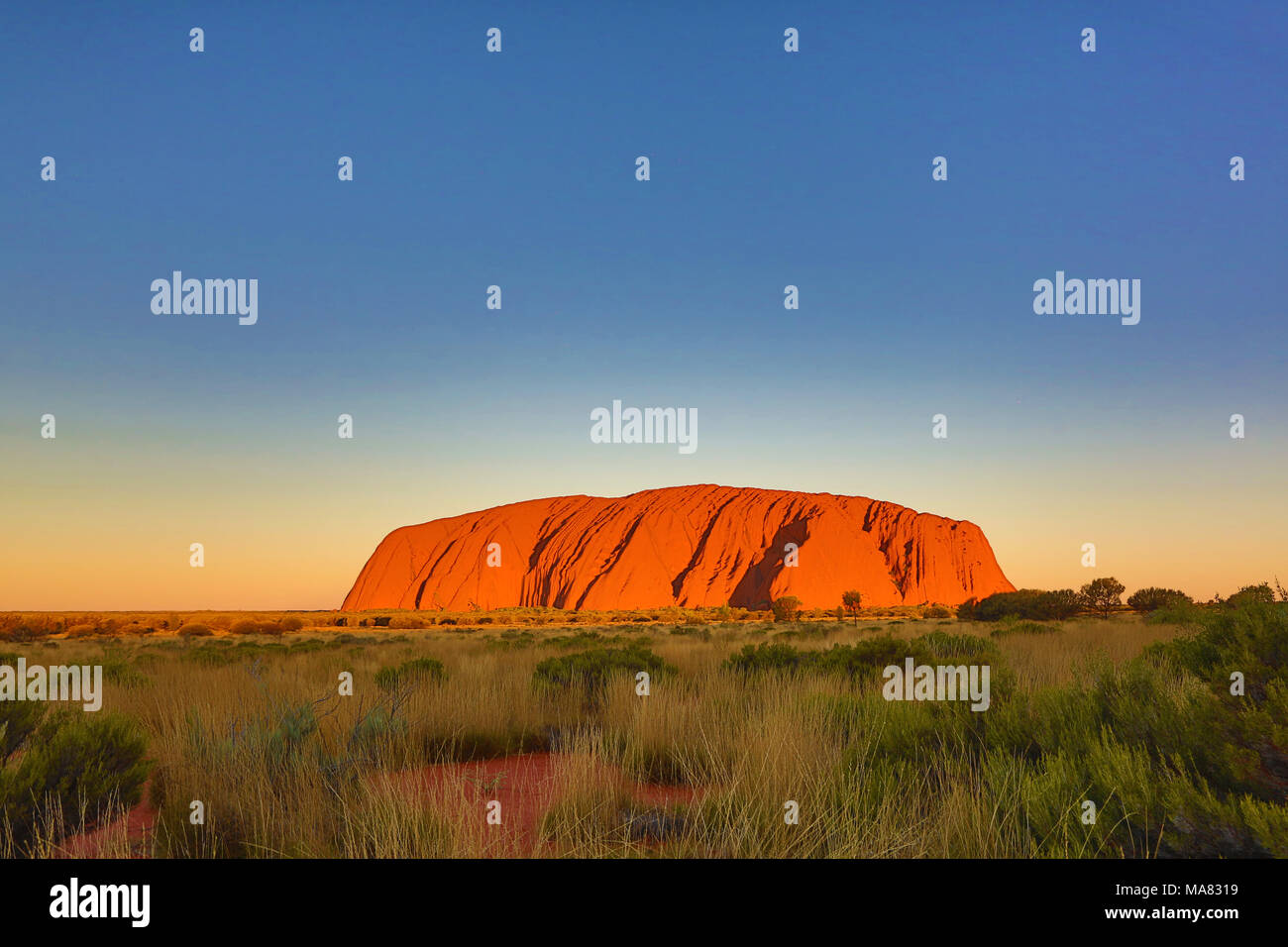 Coucher du soleil sur Uluru, Ayers Rock, Parc National d'Uluru-Kata Tjuta, Territoire du Nord, Australie Banque D'Images