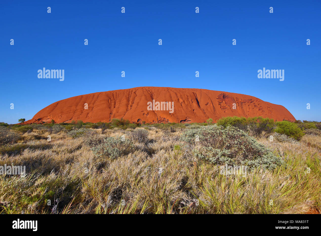 Uluru, Ayers Rock, Parc National d'Uluru-Kata Tjuta, Territoire du Nord, Australie Banque D'Images