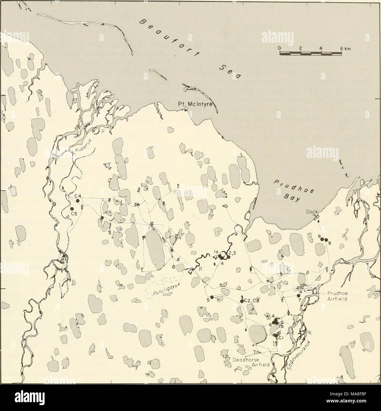 . Les enquêtes écologiques du biome de la toundra dans la région de Prudhoe Bay, en Alaska . 70° 30' 70°25' 70°20' 70°J5 J48 J48°40°20 sur Désignation Désignation sur le site no La végétation du site no Description 5 Description de la végétation de prairie brook Dupontia fisheri carte la position de l'établissement Corral de rennes 1972 PF3-:4 ; TR2^F3,4 lb Emplacement de Corral de rennes 1972 L3-L4 (tableau 8, tableau 12, annexe 2, la lande à Dryas et Salix rotundi- Fl-F3.Fw9 Tableau 3) communautés folia snowbed 6,7 Lake - la végétation des marais à Carex L6-L13ou (tableau 8, tableau 12, annexe (tableau 8, tableau 12) F^5,3 Tableau 2) 8 les dunes de sable D15-D17 4 Erioph Banque D'Images