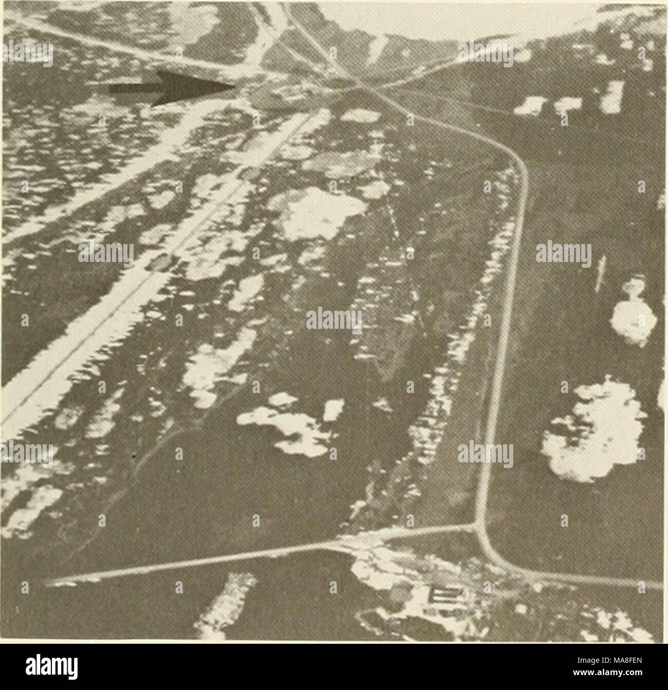 . Les enquêtes écologiques du biome de la toundra dans la région de Prudhoe Bay, en Alaska . d. 13 juin 1972 (S). sont des nuages, leurs propriétés optiques ne sont pas très homogènes. Les formes des nuages sont souvent une forme transitoire entre stratus et strato- cumulus. Souvent, le soleil devient visible à travers la couche de nuages. Les variations du rayonnement solaire souvent suggéré dans les vagues les couches de nuages induisant des varia- tions de l'intensité de rayonnement. Aussi le SIGD- sivity du stratus mince semblait être très variable. L'albédo de surface et les conditions météorologiques et Banque D'Images