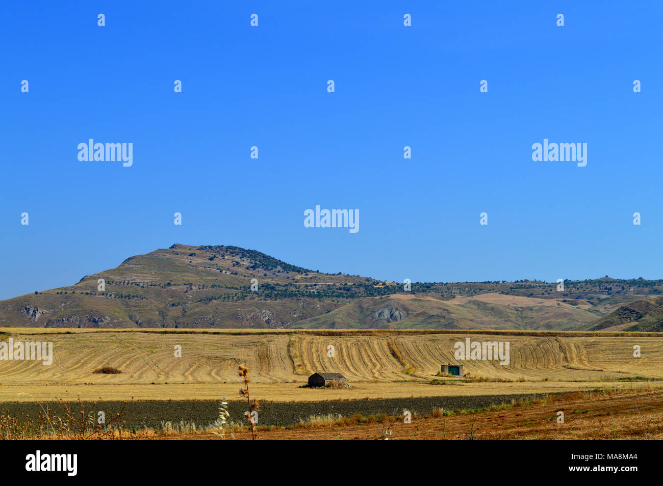 Sicilienne après la récolte, l'arrière-plan, Sicile, Italie Banque D'Images