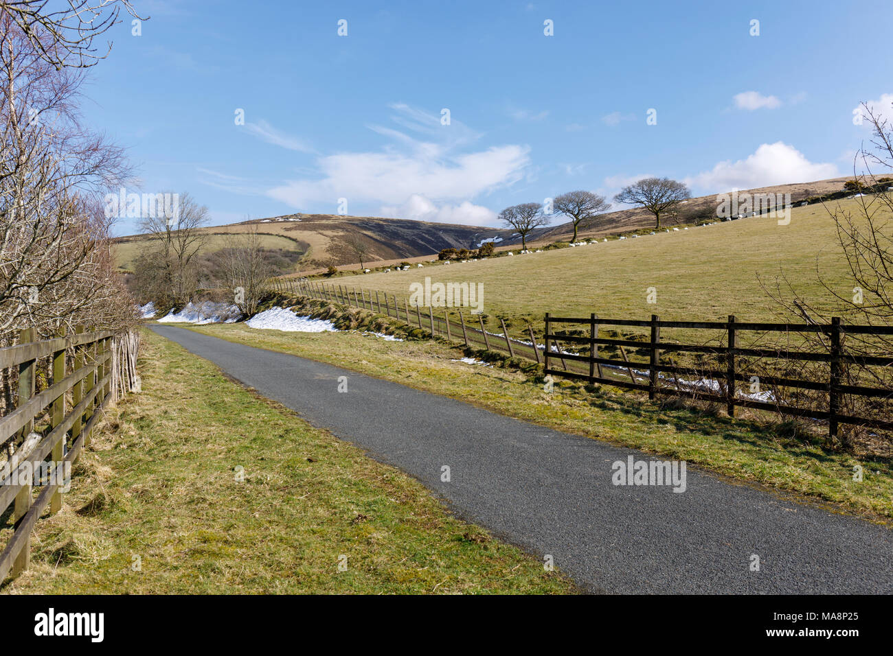 Cette 11 mile (18km) randonnée / promenade passe entre Gorge de Lydford et Okehampton sur le bord de Dartmoor. Il est construit le long d'une ligne de chemin de fer désaffectée. Banque D'Images