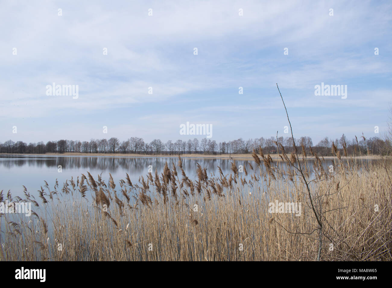 Spring Lake. Natura 2000 Pologne Banque D'Images