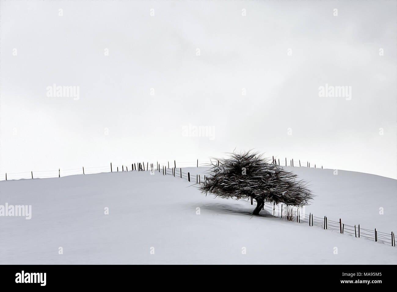 Paysage d'hiver. Winterlandschaft. Banque D'Images