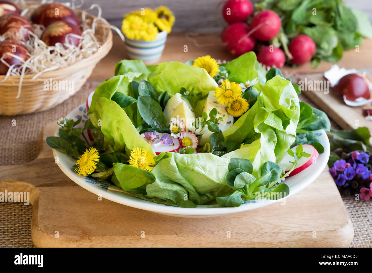 Printemps salade de laitue, mâche, radis, œufs et plantes sauvages comestibles - coltsfoot, Daisy, fleurs, herbe, mouron des oiseaux, les jeunes feuilles de pissenlit Banque D'Images