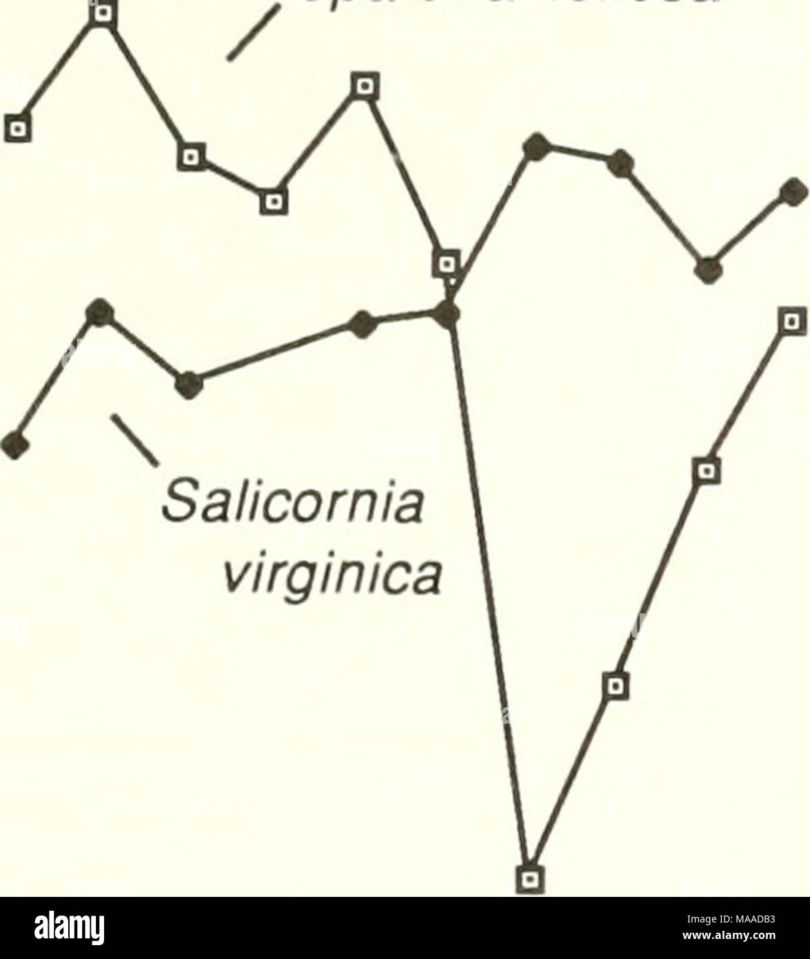 . L'écologie de l'estuaire de Tijuana, en Californie : un programme national estuarine research reserve . -I-i-i-i-i-i-i-i-|-|- 1978 1980 1982 1984 1986 1988 Figure 5.3. Fréquence de l'occurrence de Spartina foliosa) et ou passepierre (Salicornia virginica) en bas-marais d'origine des stations d'échantillonnage (n  = 102) de 1979 à 1988. Les données sont à partir de septembre de chaque année. L'estuaire a été nontidal pendant 8 mois au cours de 1984. Les plantes qui avaient encore quelques feuilles vertes étaient clairement morts, et le recensement annuel des occurrences minimum. Le caractère systématique de la mortalité a été sans précédent dans notre base de données, et Banque D'Images