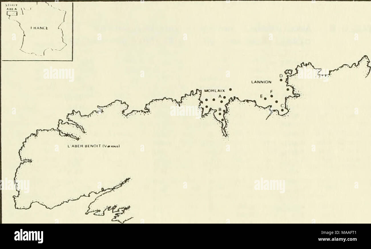 . Étude écologique de la marée noire de l'Amoco Cadiz : rapport de la NOAA-CNEXO Commission mixte scientifique . La figure 3.35. Des sédiments de surface au large des côtes et de l'Aber Benoit sites d'échantillonnage (Marchand, Courtot). La concentration en hydrocarbures et la source des classifications pour l'ensemble des données sont présentées dans le tableau 8. Les déterminations d'hydrocarbures aromatiques par GC/MS apparaître pendant les séries temporelles dans les tableaux 9 à 13 et pour deux des échantillons de l'Aber Benoit dans le tableau 14. Une excellente façon de voir la série chronologique L'information est présentée dans les figures 3.36 et 3.37. À la fois le mensonge et Morlaix/ Terenez Banque D'Images