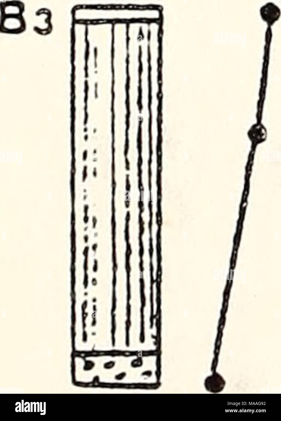 . Étude écologique de la marée noire de l'Amoco Cadiz : rapport de la NOAA-CNEXO Commission mixte scientifique . Banque D'Images