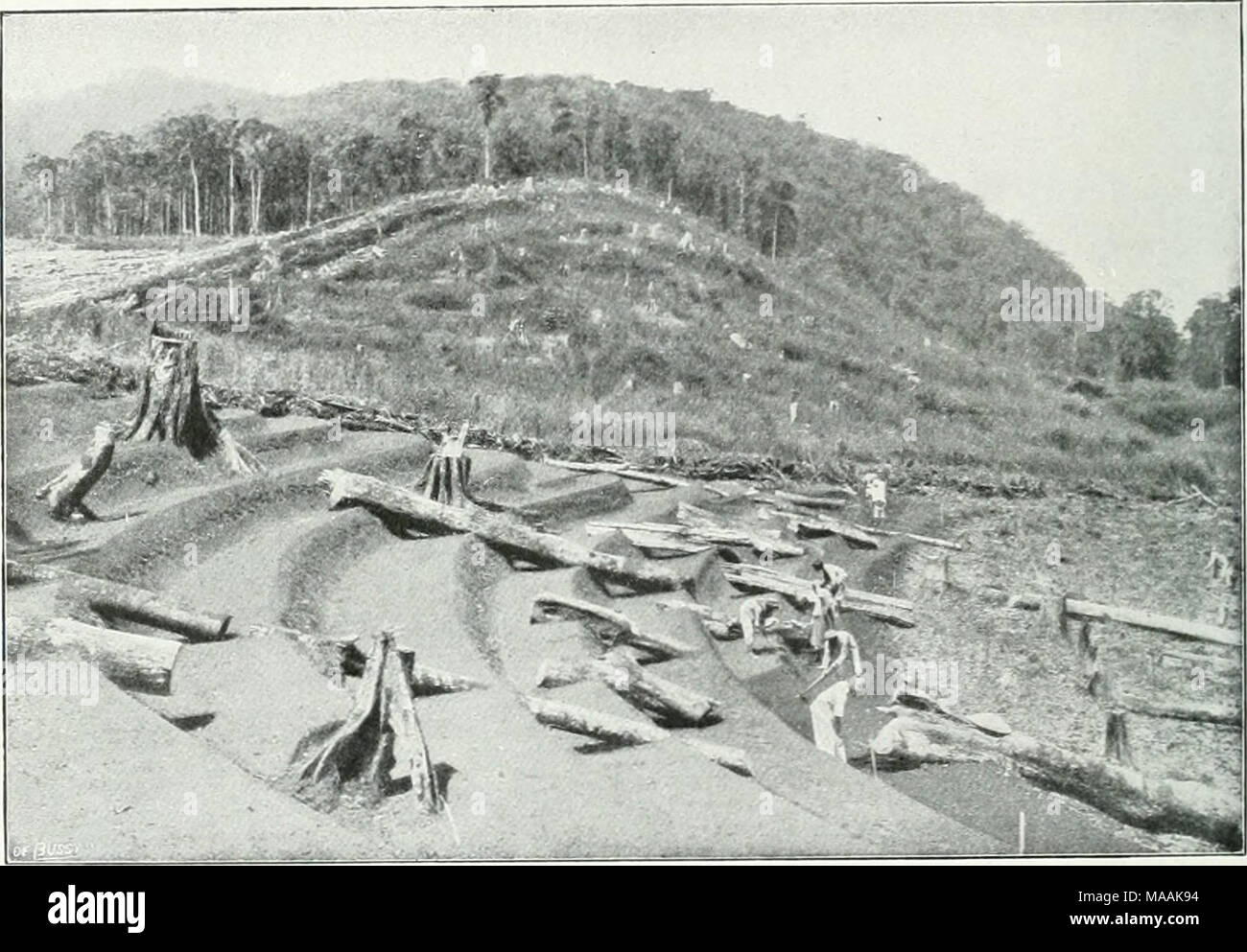 . Le Dr K.W. van Gorkom's Oost-Indische cultures. Opnieuw uitg. onder redactie van H.C. Prinsen Geerligs. [J.P. van der Stock porte et al.] . Fig. 89. Aanleg van terrassen op deze nieuwe. ontginning zooals bij de gouvernements-onderneming geschiedt en roseaux vele porte mere arabe (voir photo 5 ondernemingen wordt nagevolgd. Sommige der tegenstanders afspoeling teneinde graven, voor- te komen, dwars op de helling van doorloopende geulen environ : iV2-3 décimètre diepte met een helling van 1 op 15, dicht bij elkander dans sterk hellend terrein en grooteren vlakker op afstand op terre de waar het beter eau de grond Banque D'Images
