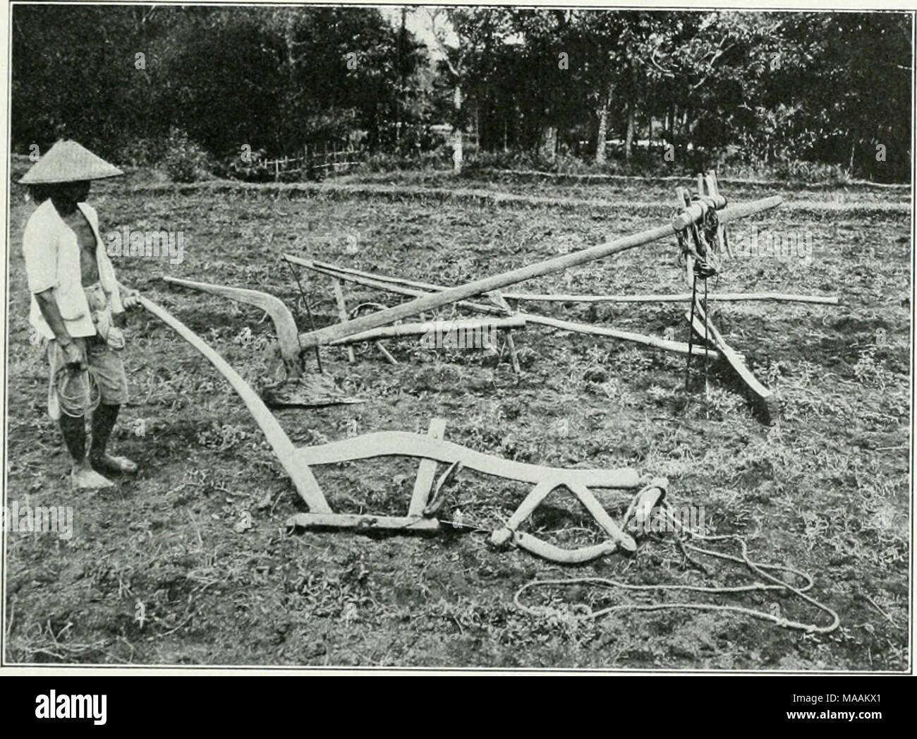 . Le Dr K.W. van Gorkom's Oost-Indische cultures. Opnieuw uitg. onder redactie van H.C. Prinsen Geerligs. [J.P. van der Stock porte et al.] . Fig. 8. Dans Wcst-Ja gcreedschappcn Landbouu-Verslagen maken dan ook van pogingen fusion continuelle nieuwe om den bestaanden verbeteringen en vorm van Landbouw aan te brengen d werkwijzen andere in te voeren. 2. Dans Rijstcultuur Wkkkitiokn gküruik hij dk. Wanneer de hommes, werktuigen den favaan porte bij den rijstbouw vergelijkt gebruikt', a rencontré, en Europa die welke bij den landbouw worden Banque D'Images