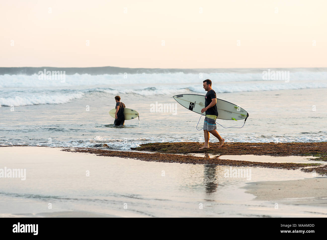 Deux hommes amis surfeur dans t shirts et shorts transportant des planches de bord tête hors de la rive dans à la mer de Chine du sud autour de la côte sud de Sumba Banque D'Images