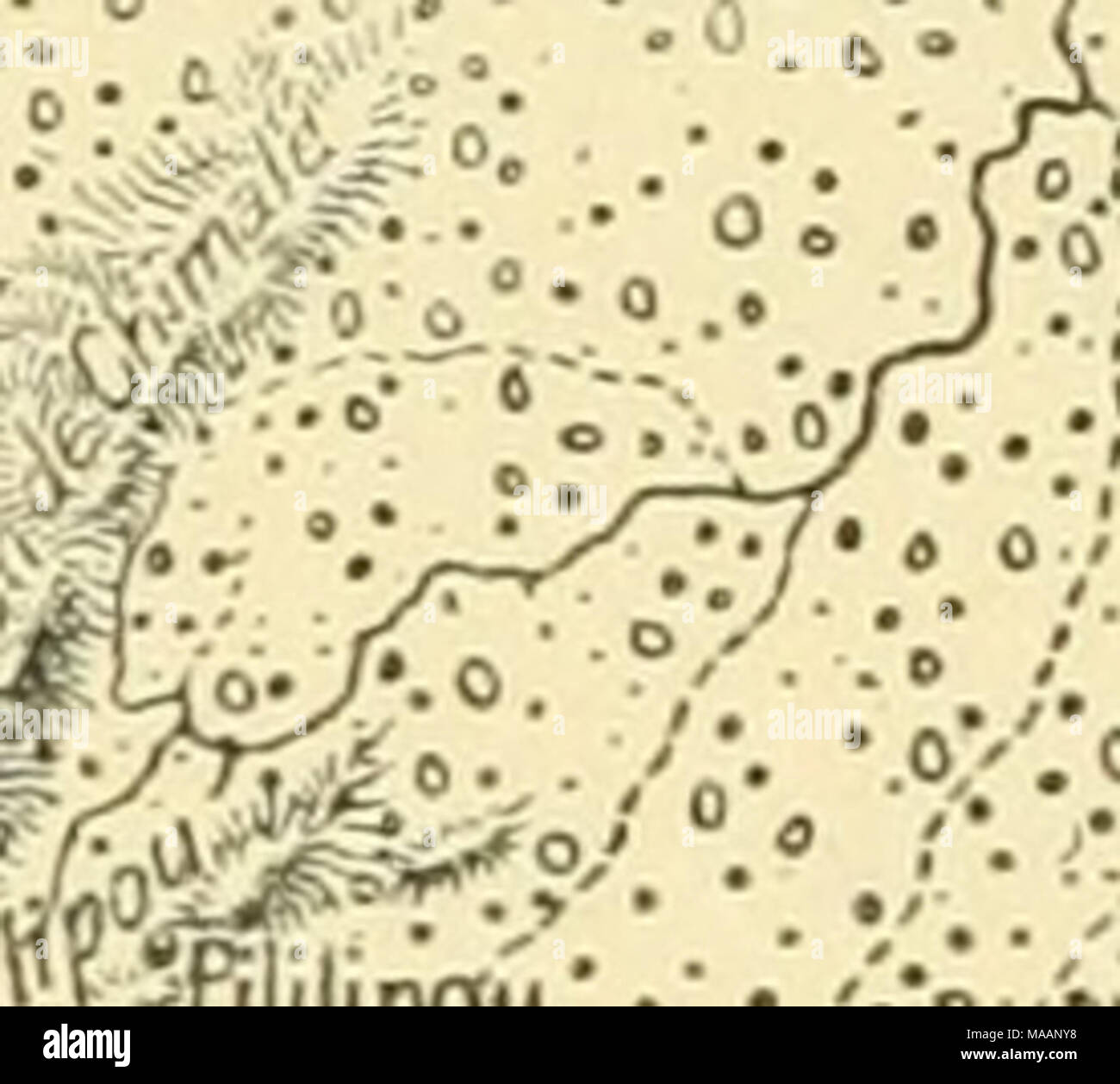 . La terre et ses habitants .. . M :^-. Vvest oPGreei^qui 53° 60 milles. nous assure que l'ascension et l'incomparable perspective commandé par Mitaraca vaut le voyage de Paris à la Guyane." * dans l'ensemble, la gamme Tumuc-Humac est disposé dans le sens de l'est par le sud, parallèle à la section de la côte comprise entre le Maroni et l'Oyapok estuaires. Dans la région de l'ouest le système développe deux chaînes distinctes séparées par un espace intermédiaire d'environ 25 milles. Dans le nord de l'élève la chaîne " Mitaraca Belvedere", tandis que les pics culminant, T Banque D'Images