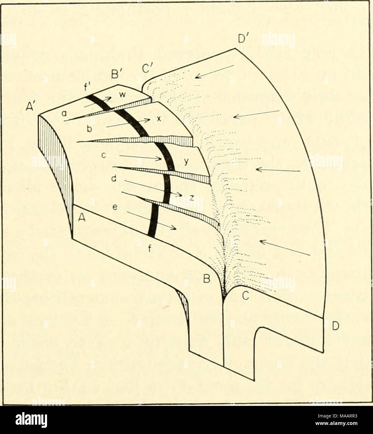 . La terre sous la mer : Historique . Fig. 10. L'hypothèse où la croûte situation mécanique se déplace dans une tranchée. Mouvement de A'A à B'B résulterait en extension dans la direction B'B, fournissant des fissures potentielles afin de permettre d'échapper aux volcans magma à w, x, y et z. Ces volcans sont dans tous les cas sur le côté concave de la tranchée et à environ 180 km de l'axe de la tranchée. Immédiatement en dessous de la tranchée, la déformation est sévère, et l'écoulement plastique pourrait être prévue pour les fissures. Circulation sur le côté convexe de D à C'C provoquerait le long de compression C'C pour que les fissures ouvertes Banque D'Images