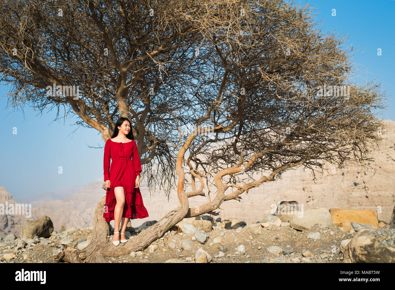 Belle jeune fille en robe rouge sous un arbre dans le désert Banque D'Images Belle jeune fille en robe rouge sous un arbre dans le désert Banque D'Images