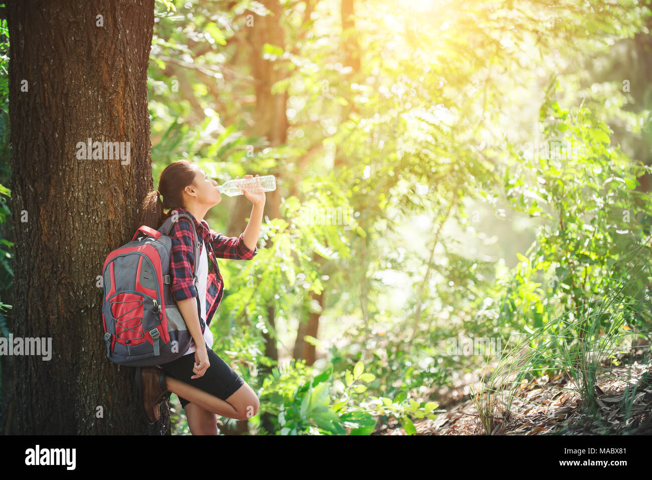 Une femme assoiffée d'avoir une pause de boire une bouteille d'eau au cours de la randonnée dans la forêt. Banque D'Images