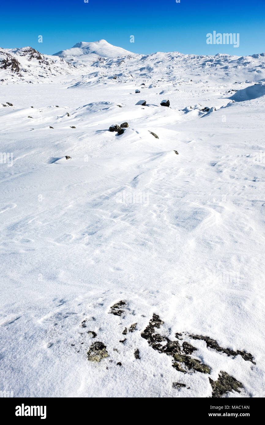 Paysage d'hiver dans les montagnes de l'Arctique du nord de la Suède Banque D'Images