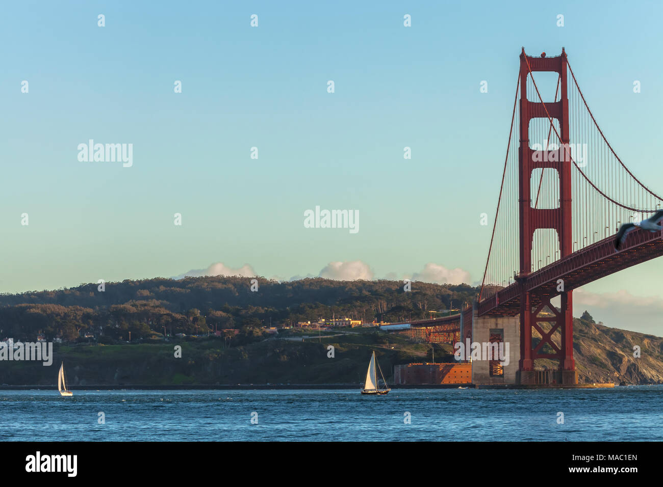Voiliers dans la baie de San Francisco, avec le Golden Gate Bridge en arrière-plan, San Francisco, California, United States Banque D'Images