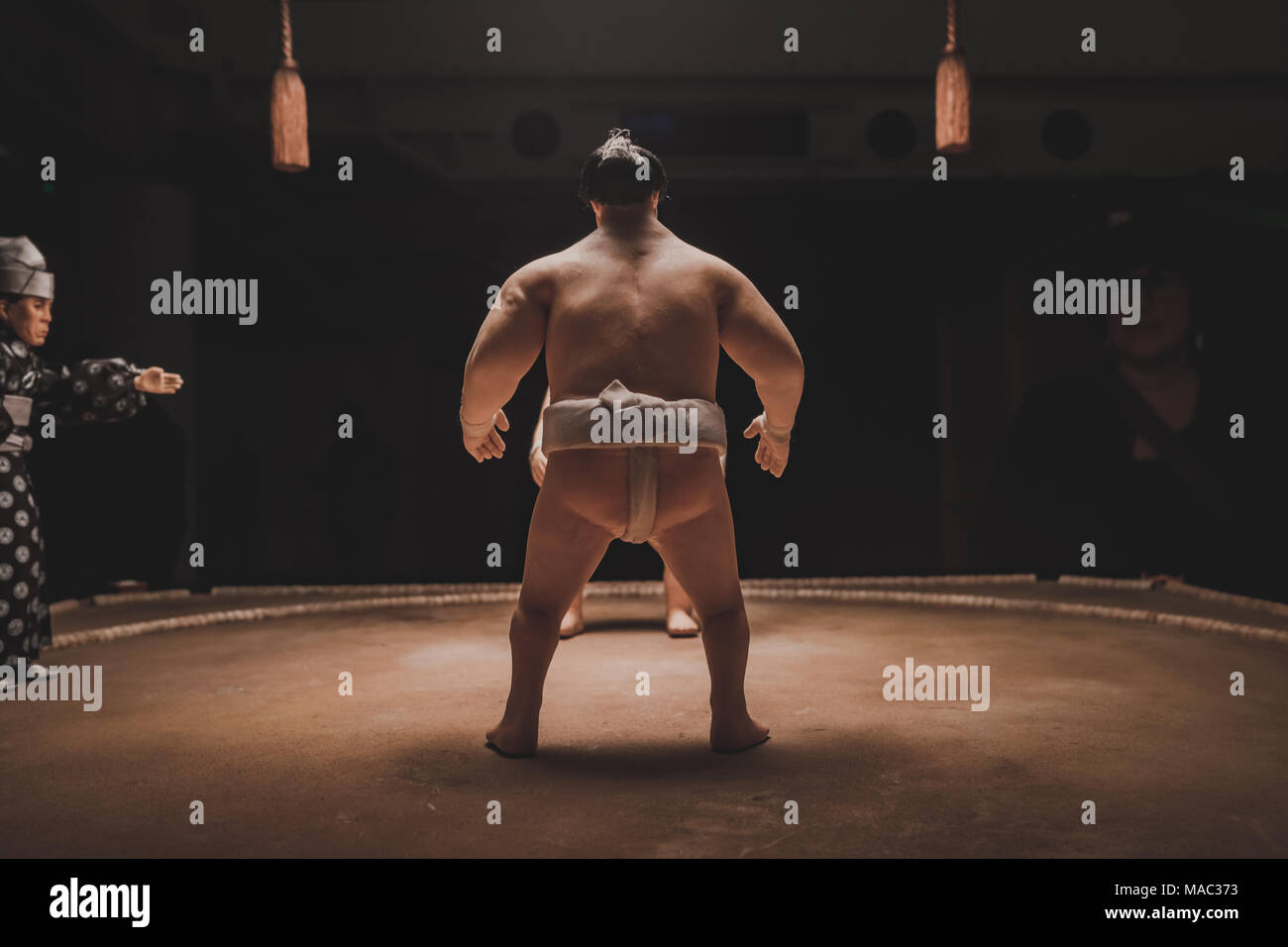L'arrière d'un lutteur de sumo en exposition à Londres à l'Isle of Dogs exposition, réalisé par Wes Anderson - Mars 2018 Banque D'Images L'arrière d'un lutteur de sumo en exposition à Londres à l'Isle of Dogs exposition, réalisé par Wes Anderson - Mars 2018 Banque D'Images