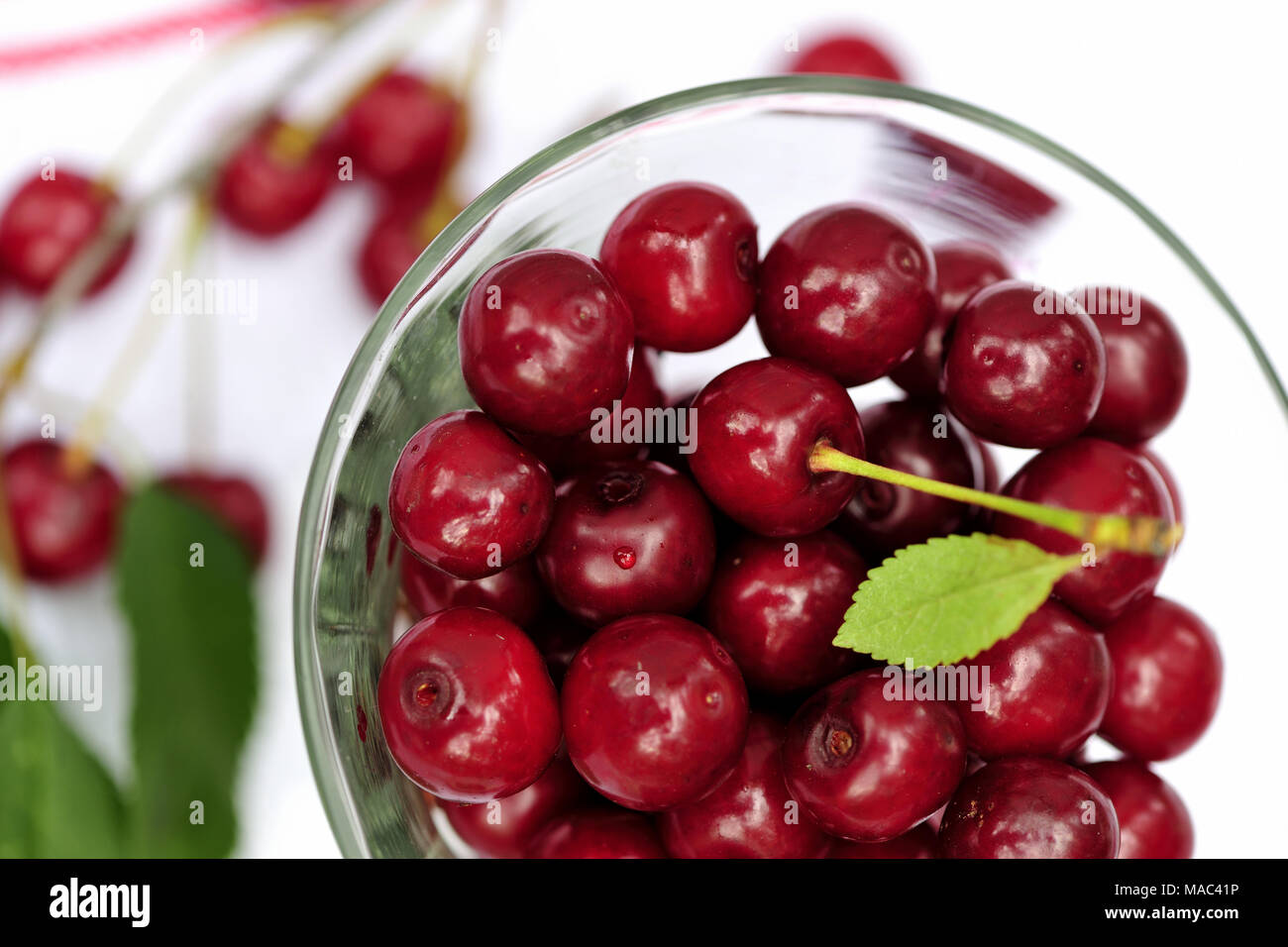 Cerises, fraîches, sans additif chimique, sans OGM, les légumes, les gens, la santé Banque D'Images