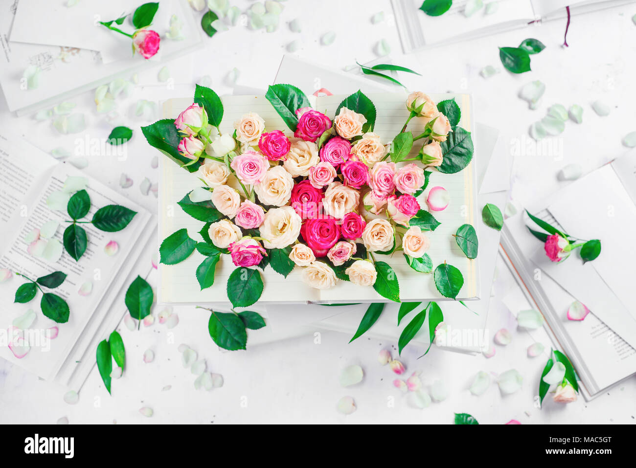 Roses et des pétales de rose sur un livre ouvert la page. Femme écrivain de travail ci-dessus. High key still life with copy space. Banque D'Images