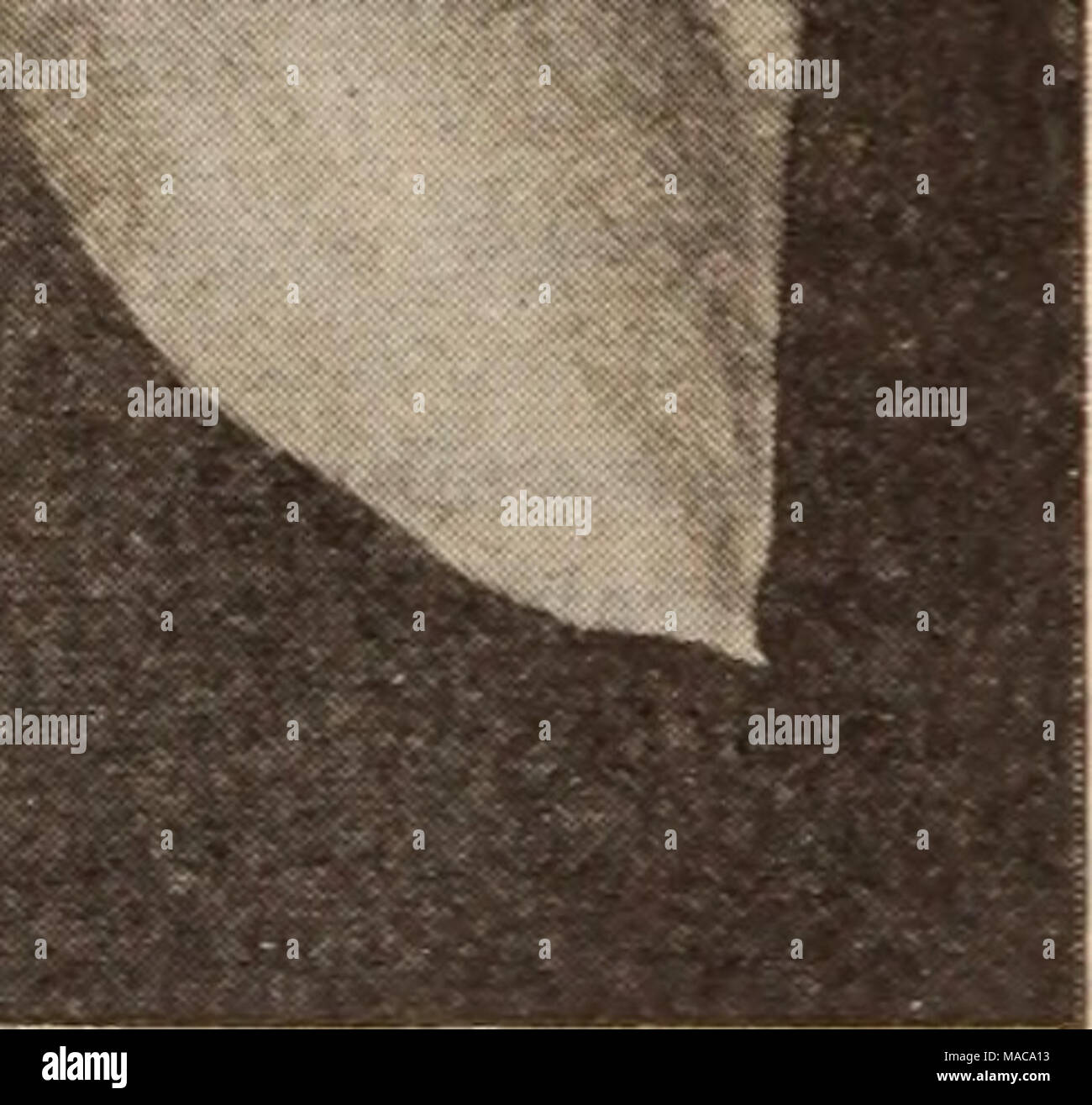 . Dreer's Liste des prix de gros / Henry A. Dreer. . Par 100 par Gold Finch. Très similaire à et presque aussi important que celui de l'empereur, mais les deux sont une trompette et périanthe jaune doré uniforme, bonne forcer. 50 cts. par doz $350 Madame Plemp. Un bicolor introduction récente du massif avec des fleurs, la tombe d'un blanc pur est tordu avec grâce, en donnant l'apparence d'une fleur très artistique, trompette riche or-jaune. 40 cts. par doz 275 Victoria. L'un des plus populaires de la bi- couleurs pour forcer, en caractères gras et périanthe blanc jaune pur, double trompette bulbes nez .... 175 - Albicans. Périanthe blanc, Banque D'Images