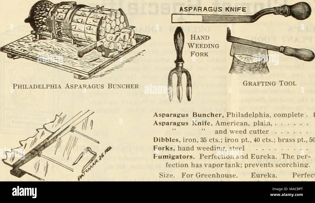 . Dreer's Liste des prix de gros de plantes graines et bulbes pour les fleuristes : engrais, insecticides, outils et articles divers . Asparaeus-Ramasseur, Philadelphie, complète . 175 $ couteau américain, asperges, plaine 25 et 33 coupe des mauvaises herbes Dibbles, fer à repasser, 35 cts. ; fer à repasser pt., 40 cts. ; laiton pt., 50 cts. Main weediner, fourche en acier, 25 FumlKators. La perfection et Eureka. Le p.- fection vapeur a tank ; empêche de brûler. Banque D'Images