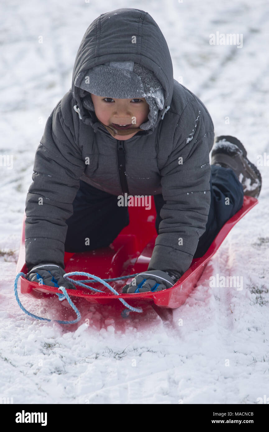 La "bête de l'Est' arrive à Édimbourg comme personnes familles au traîneau Bruntsfield Links. En vedette : Bruntsfield Links Où : Édinbourg, Royaume-Uni Quand : 28 Feb 2018 Credit : Euan Cherry/WENN Banque D'Images