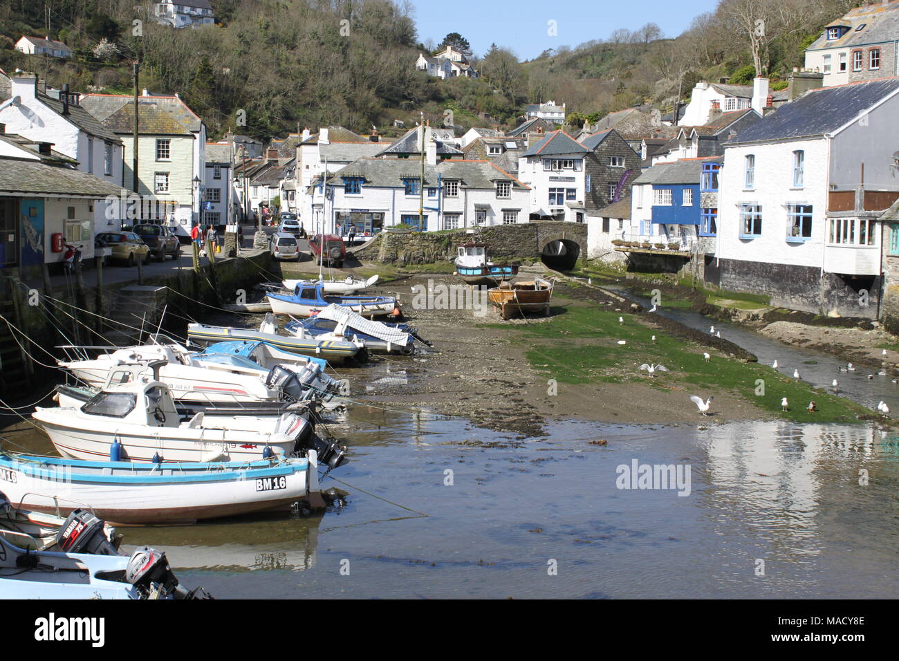 Cornwall, Angleterre, Polperro : un fatras de chalets et de bateaux de pêche à l'abri des ravages du temps et marée dans sa falaise ravine, UK, PETER GRANT Banque D'Images