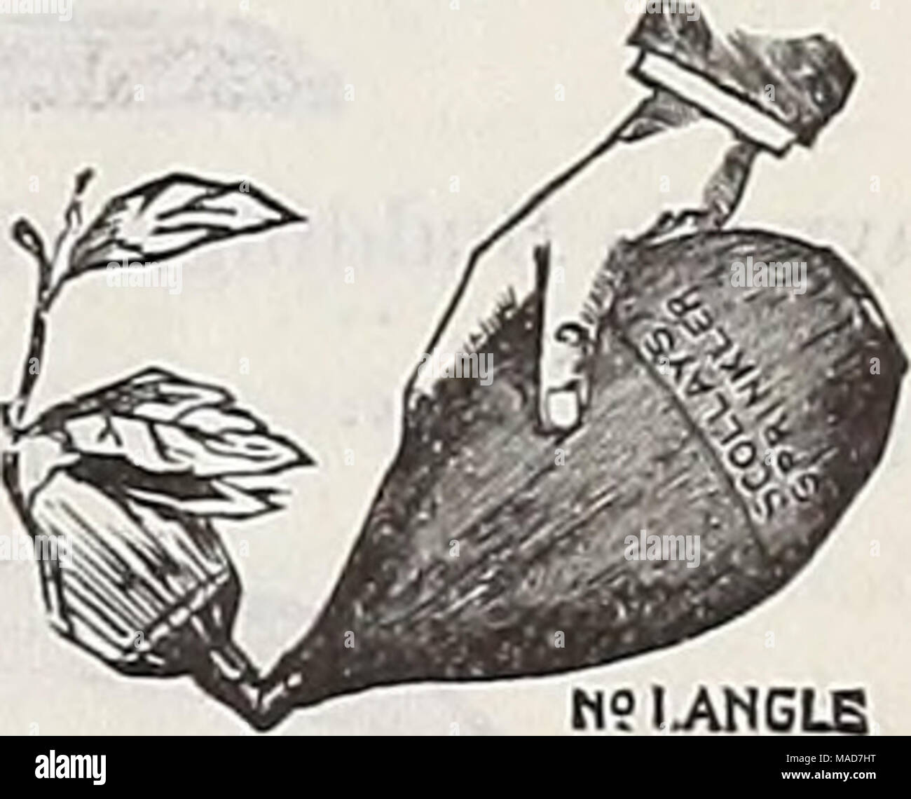 . Dreer's quarterly Liste des prix de gros de semences bulbes plantes &amp;c. outils divers engrais &amp;c . Distributeur de mastic. ;I.ANGLB sprinkleur angulaire. 75 cts. Chaque ; 85 cts. par la poste. " C. " 2. " 3. " 5. " G No A. 1 flux et spray rose, 12 x 1 dans $175 » Uixli » 2852 roses, 13|x1t" 3402 " 18 xli- " 4852 " 18 " xlj 5501 rose,^ « Withcurved xl 16 cou à utiliser qu'un joint de fusée 375 " H. 18 po de longueur, diamètre 1 IJ. en zinc 85 seringues, 90 cts. ; le zinc, finition laiton, 1,10 $ ; l'étain, 75 cts. L'embout de Boston. C'est Banque D'Images