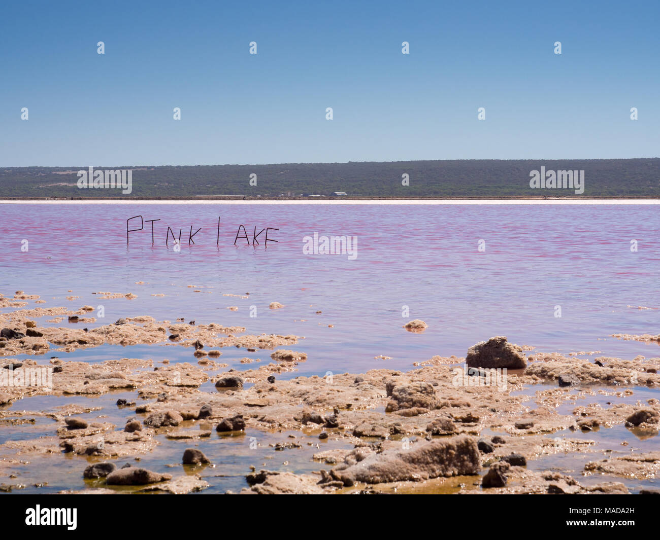 Lac Rose (Hutt Lagoon), Port Gregory, l'ouest de l'Australie Banque D'Images Lac Rose (Hutt Lagoon), Port Gregory, l'ouest de l'Australie Banque D'Images
