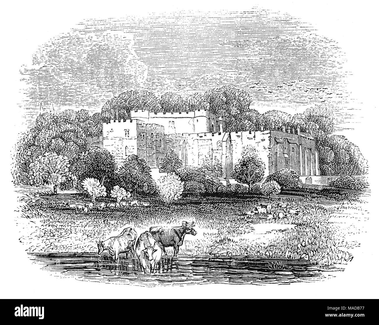 Château de Berkeley dans la ville de Berkeley, Gloucestershire, Angleterre date des XIIe et XIVe siècles. On pense que c'est le théâtre du meurtre du roi Edward II en 1327 après qu'il ait été destitué par sa femme, la reine Isabella, et son allié Roger Mortimer, et placé sous la garde conjointe de Thomas de Berkeley au château de Berkeley. Au cours de ses cinq mois d'emprisonnement, une bande de partisans d'Edward a attaqué, est entrée dans le château et l'a sauvé, seulement pour qu'il soit repris peu après et par tous les comptes a subi une mort horrible le 21 septembre 1327. Banque D'Images