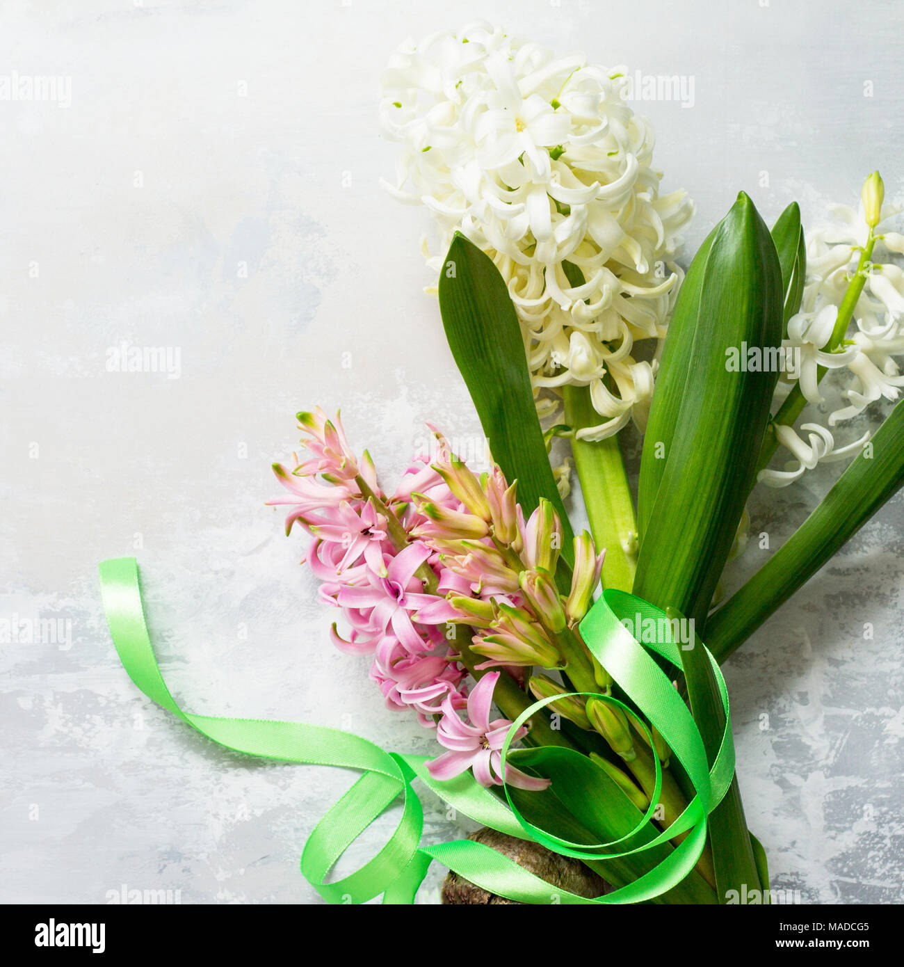 Bouquet De Fleur Jacinthe Sur Fond De Pierre Ou Lardoise