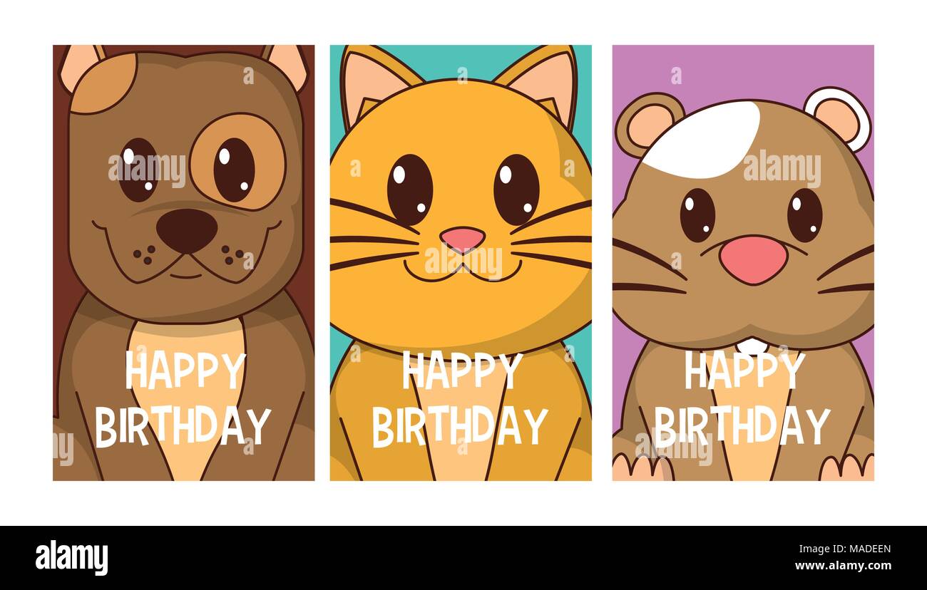 Joyeux Anniversaire Carte De La Cat Du Hamster Drole De Carte De Chien Maison Sc