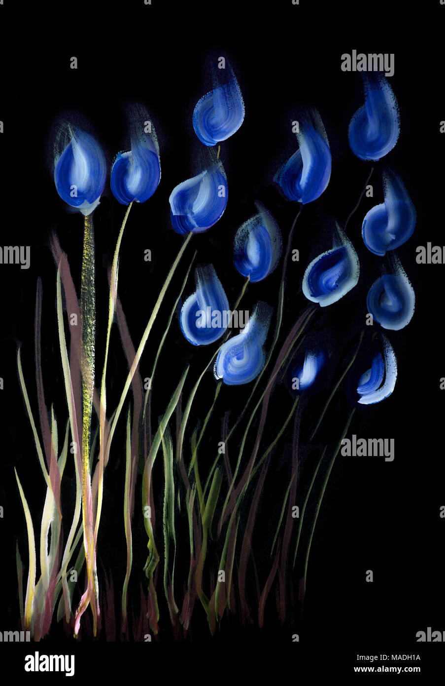 Un coup de pinceau bleu et de tulipes blanches sur un fond noir. La technique du badigeonnage près des bords donne un effet de flou dû à la surface altérée Banque D'Images