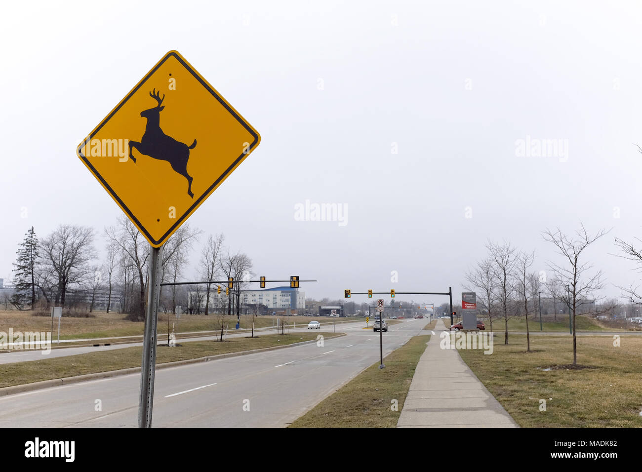 Un deer crossing sign est affiché dans un quartier en plein développement de Cleveland, Ohio, USA. Banque D'Images