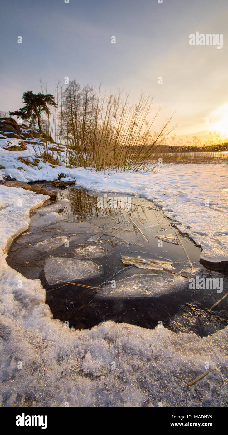 Hjarlanda Tjarn de lac gelé à Göteborg lors d'une belle soirée avec la lumière dorée du soleil couchant venant de l' ouest . La Suède Banque D'Images