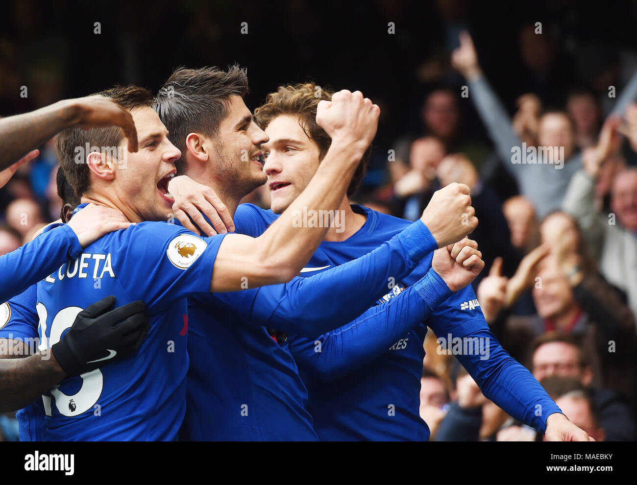 Alvaro Morata vu notation et de célébrer le premier but lors de la Premier League match entre Chelsea et Tottenham Hotspur à Stamford Bridge, le 1er avril 2018 à Londres, en Angleterre. (Photo de Zed Jameson/phcimages.com) : PHC Crédit Images/Alamy Live News Credit : PHC Images/Alamy Live News Credit : PHC Images/Alamy Live News Banque D'Images