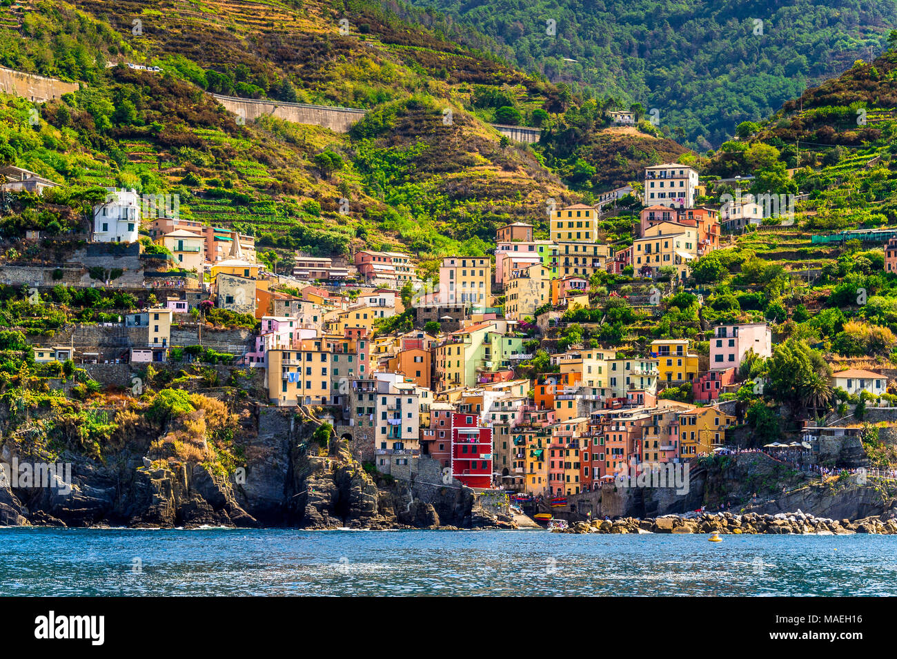 Riomaggiore, Cinque Terre National Park, Ligurie, Italie, l'UNESCO Banque D'Images