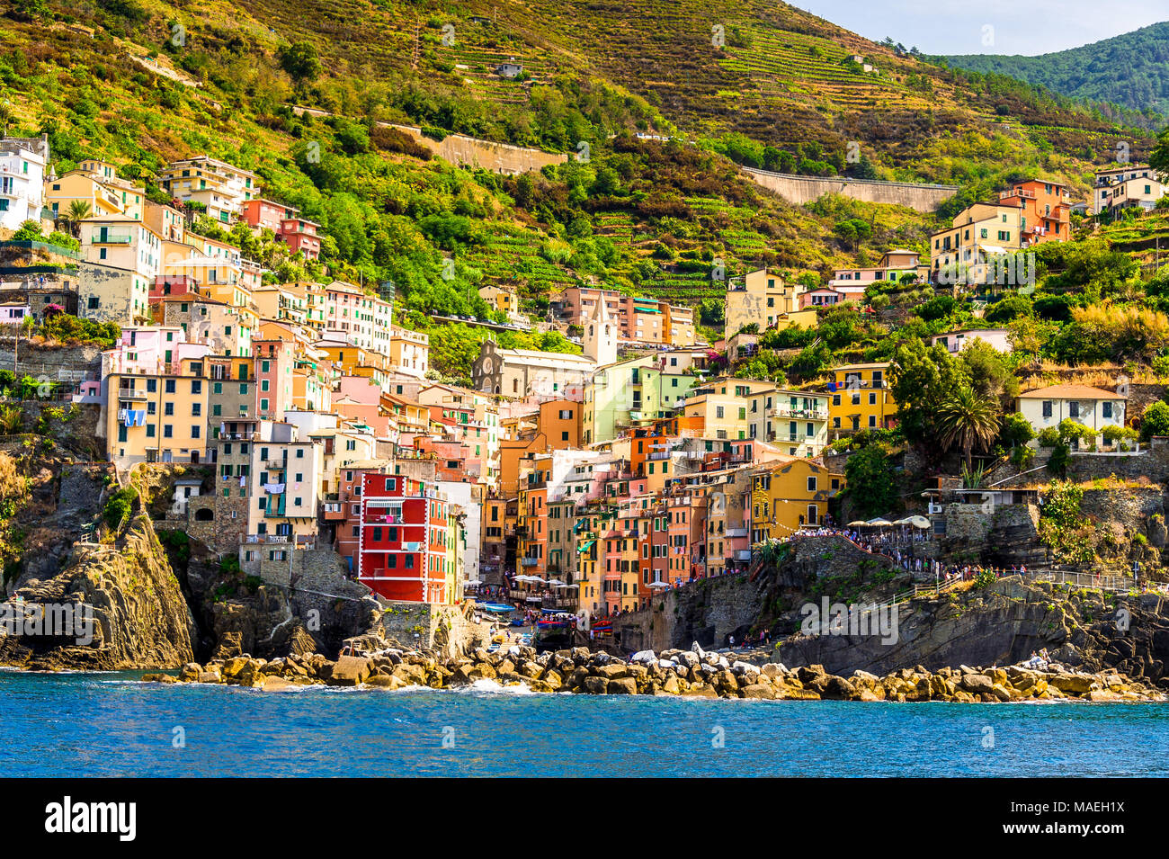 Riomaggiore, Cinque Terre National Park, Ligurie, Italie, l'UNESCO Banque D'Images