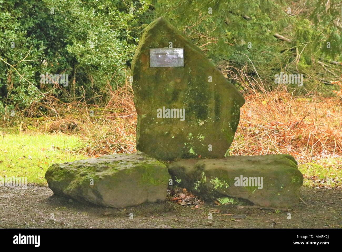 Le Sommet de Chiltern' plaque sur des pierres à Wendover Woods, Wendover, España Banque D'Images