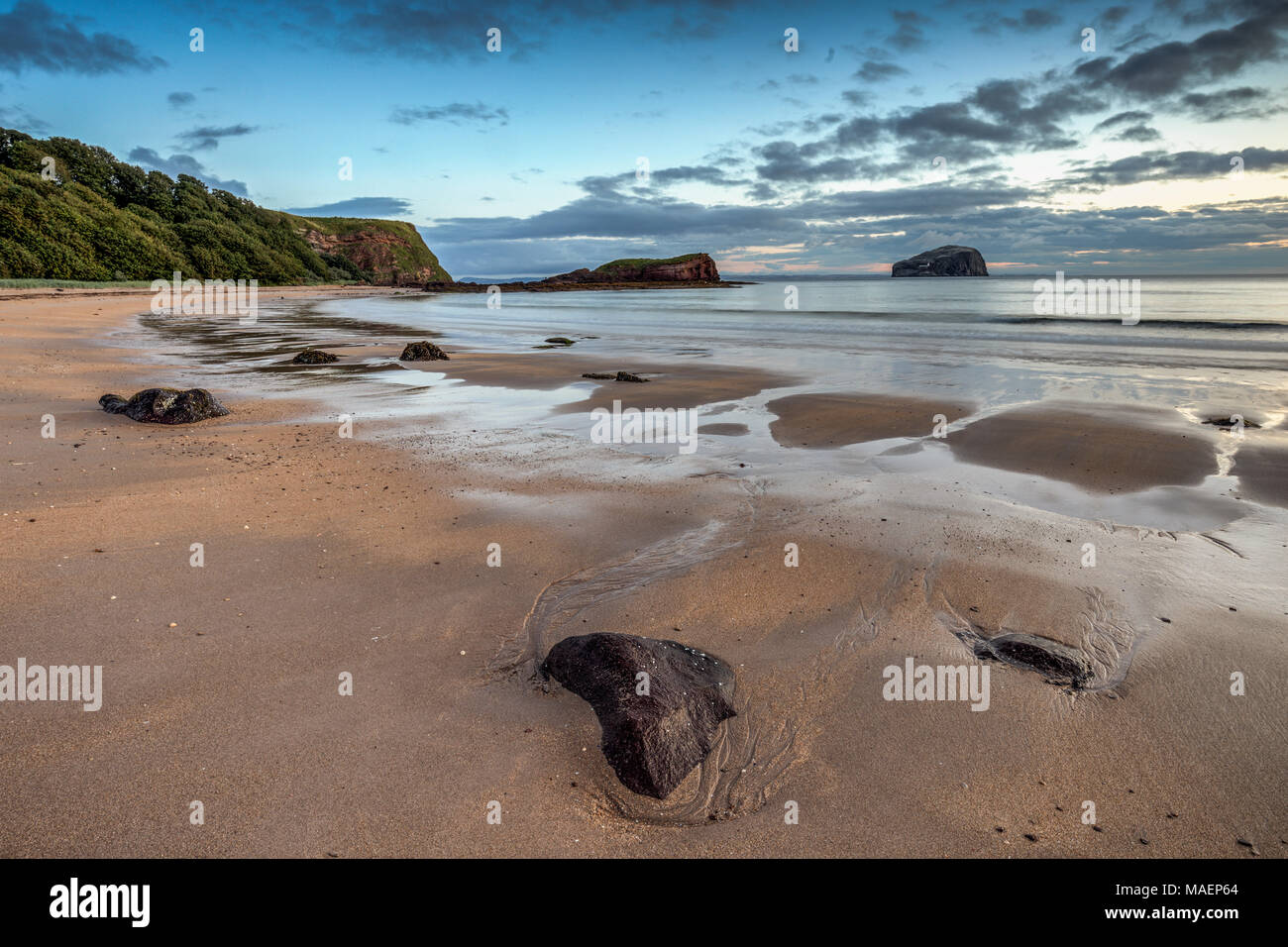 Bass Rock de Gerpinnes près de North Berwick sur la Côte d'East Lothian, Ecosse Banque D'Images