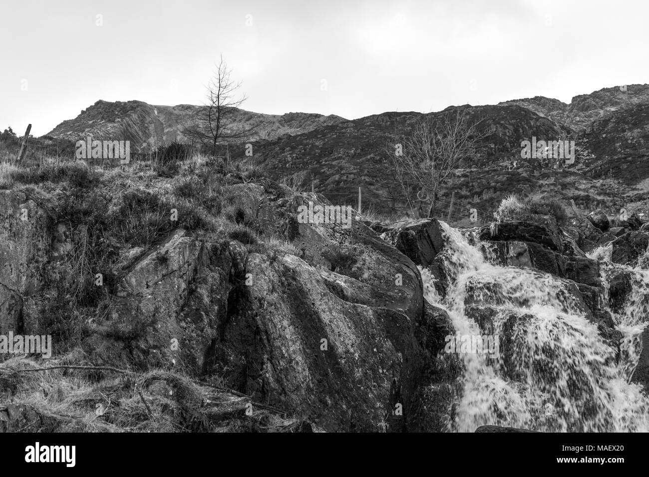 Une image monochrome d'une chute et le sommet de Moel Siabod, Snowdonia, Banque D'Images