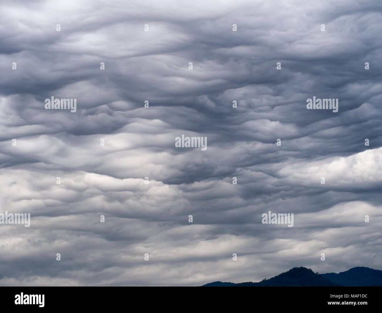 Asperitas cloud. Formation étrange. Anciennement connu sous le nom de Asparatus undulatus. Sur l'Italie. Banque D'Images