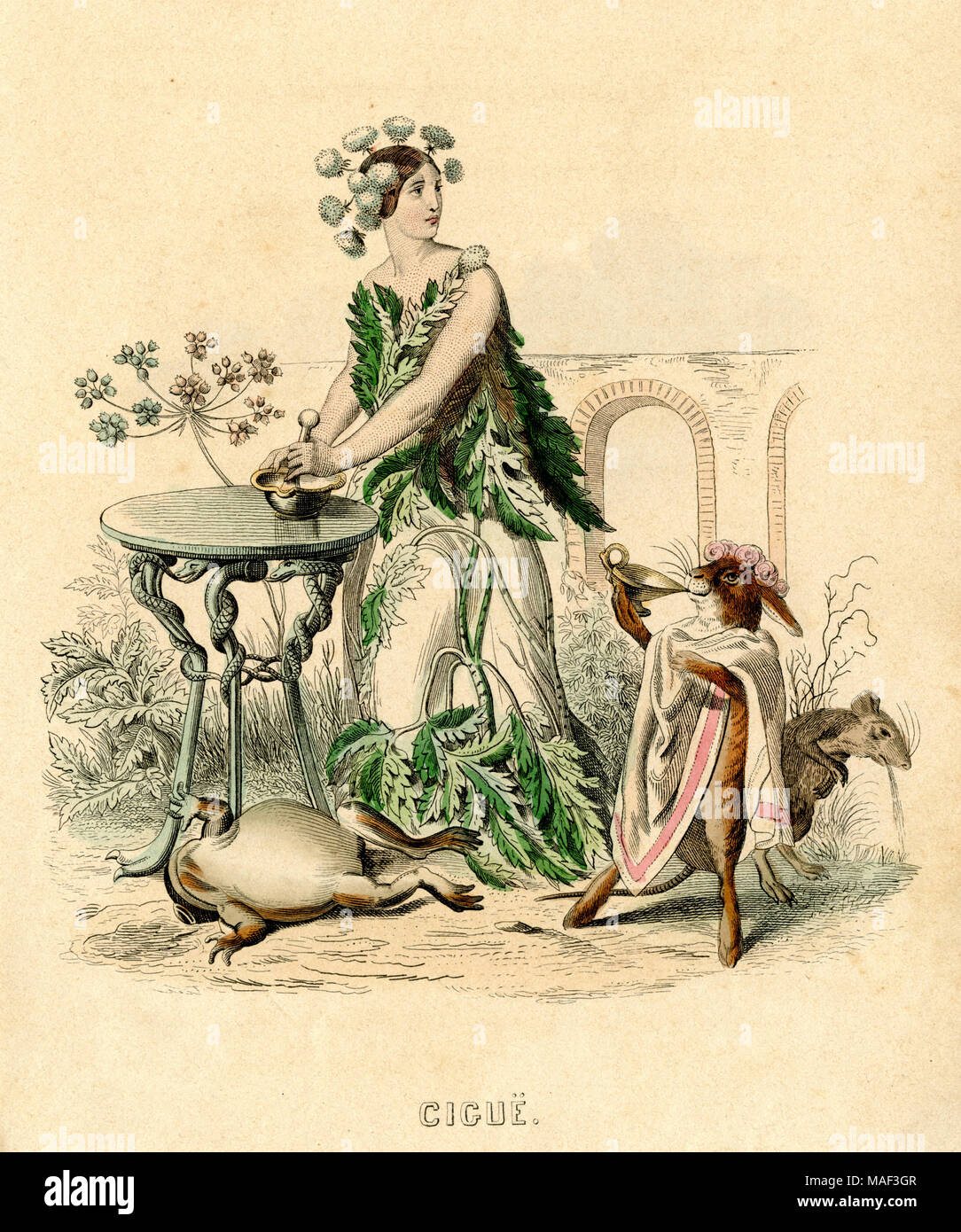 La pruche, de Grandville : Les Fleurs animées, Grandeville, créé , publié Banque D'Images