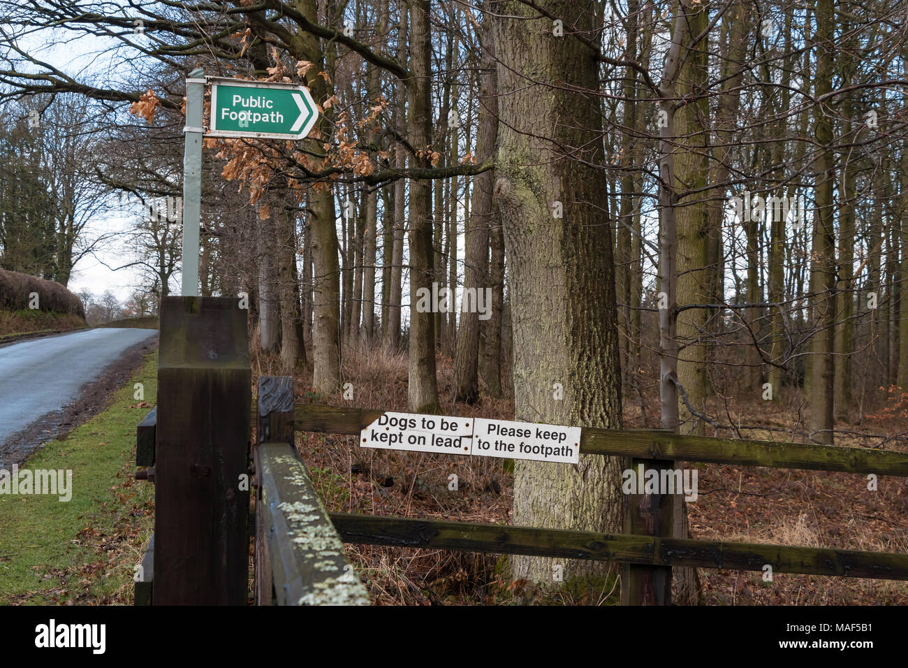 Sentier Public entre forêt et donnant des signes d'orientation pour les chiens à être tenus en laisse, et rester sur sentier Banque D'Images